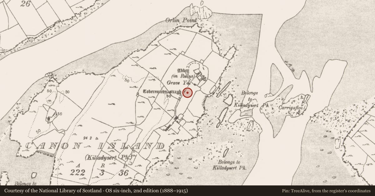 Ordnance Survey six-inch map, 2nd edition (1888–1915) covering the location of Ritual site - holy well, Canon Island, County Clare, with a pin at the register's coordinates