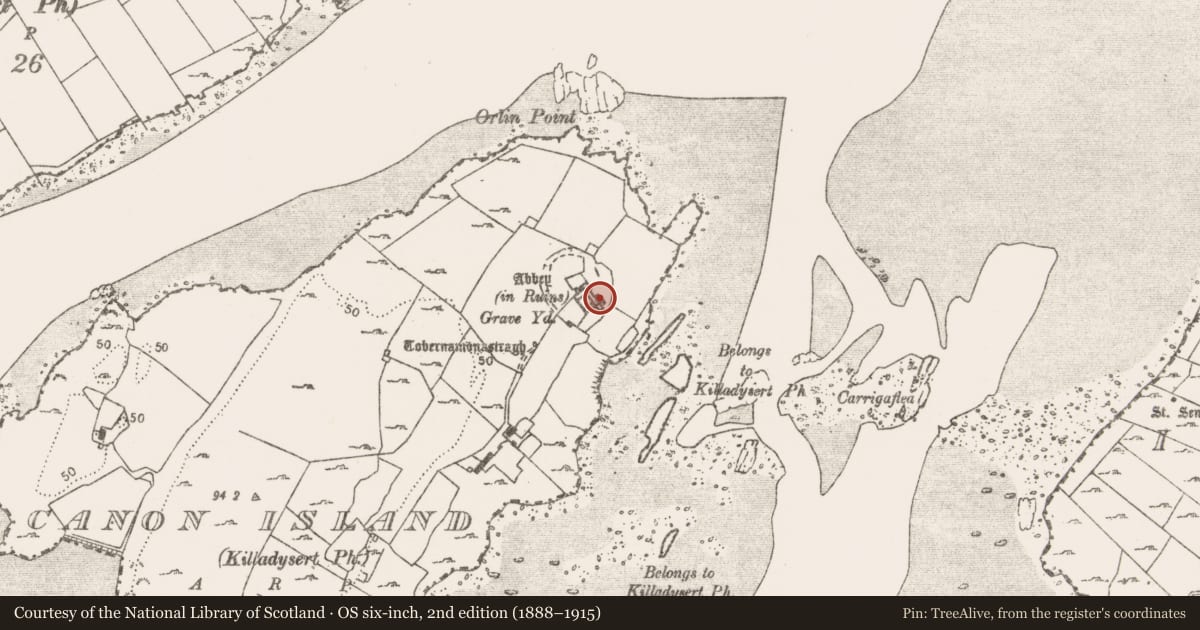 Ordnance Survey six-inch map, 2nd edition (1888–1915) covering the location of Graveslab, Canon Island, County Clare, with a pin at the register's coordinates