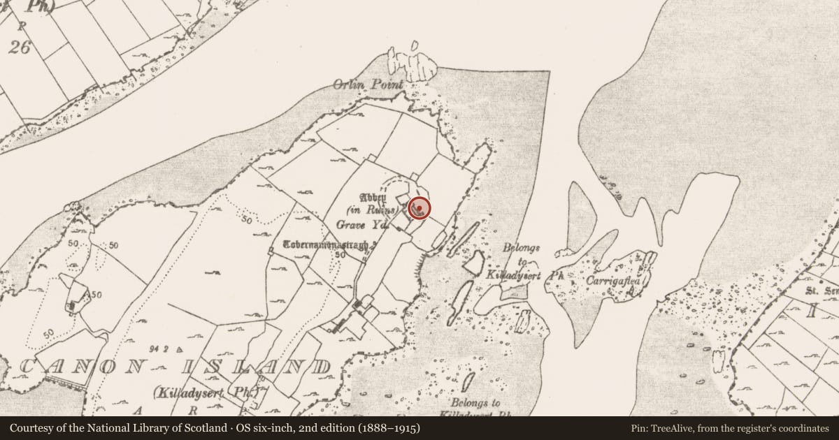 Ordnance Survey six-inch map, 2nd edition (1888–1915) covering the location of Graveslab, Canon Island, County Clare, with a pin at the register's coordinates