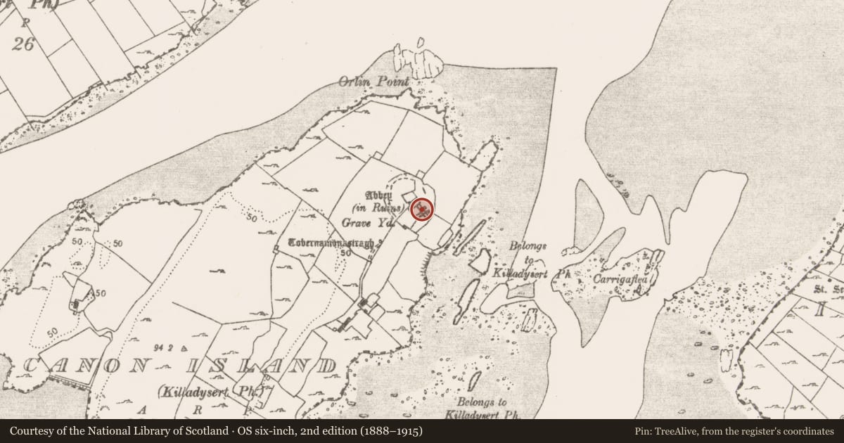 Ordnance Survey six-inch map, 2nd edition (1888–1915) covering the location of Graveslab, Canon Island, County Clare, with a pin at the register's coordinates
