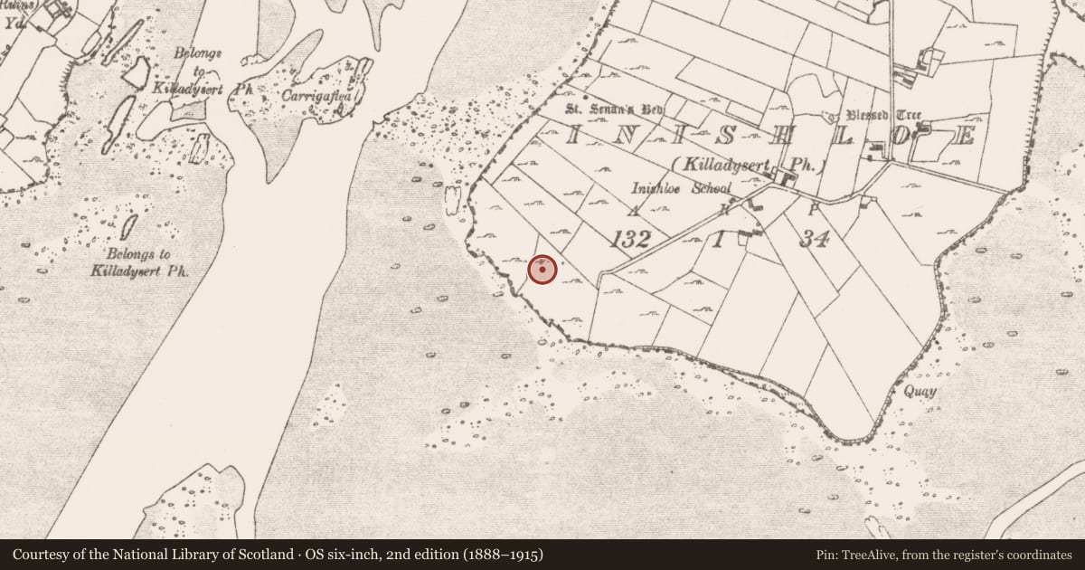 Ordnance Survey six-inch map, 2nd edition (1888–1915) covering the location of Ringfort - cashel, Inishloe, County Clare, with a pin at the register's coordinates