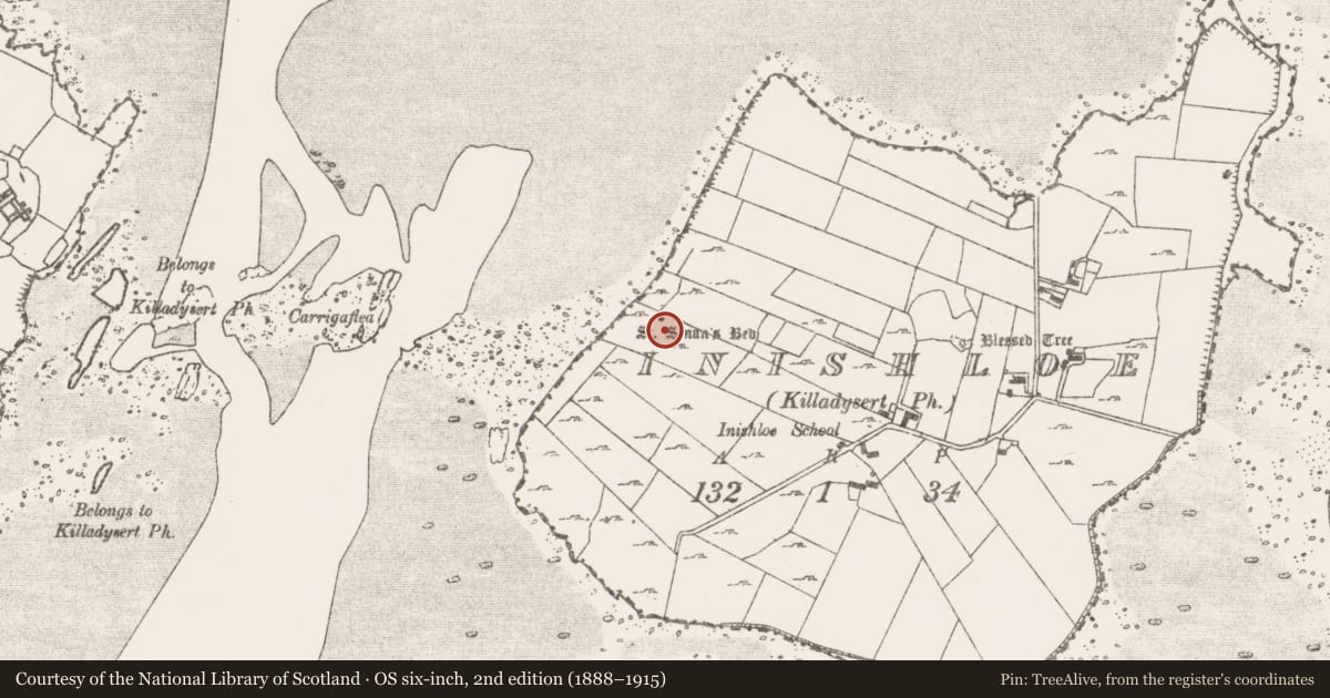 Ordnance Survey six-inch map, 2nd edition (1888–1915) covering the location of Ritual site - holy/saint's stone, Inishloe, County Clare, with a pin at the register's coordinates