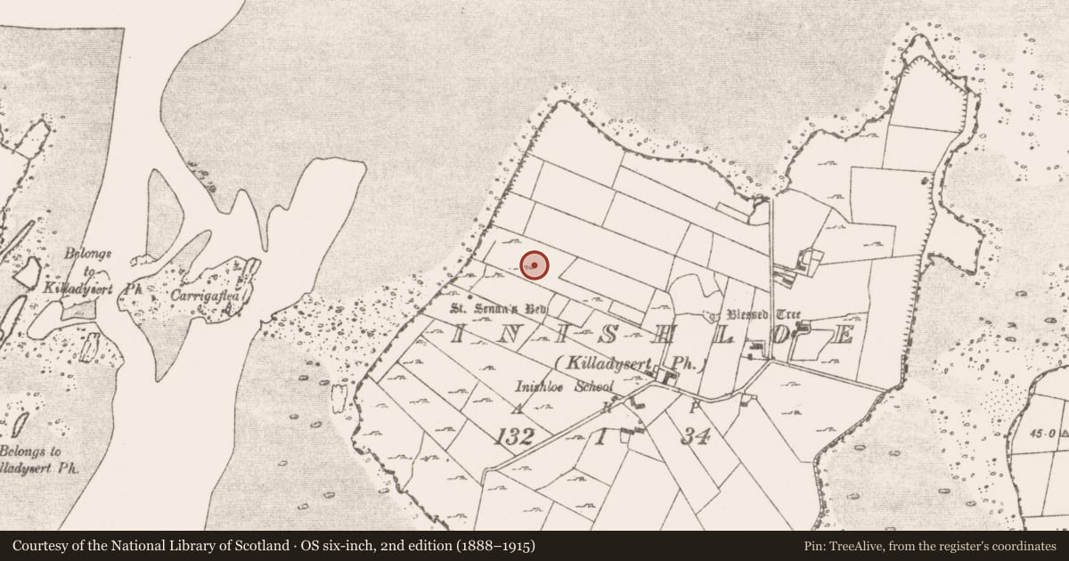 Ordnance Survey six-inch map, 2nd edition (1888–1915) covering the location of Ringfort - rath, Inishloe, County Clare, with a pin at the register's coordinates
