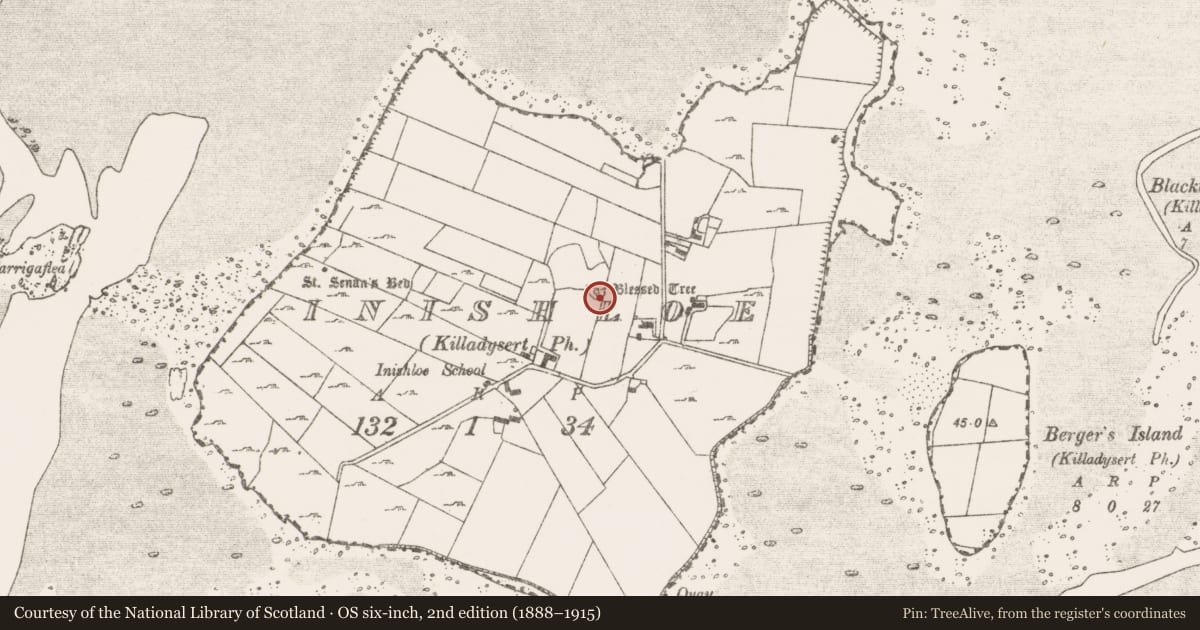 Ordnance Survey six-inch map, 2nd edition (1888–1915) covering the location of Ritual site - holy tree/bush, Inishloe, County Clare, with a pin at the register's coordinates