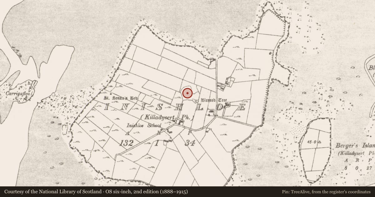 Ordnance Survey six-inch map, 2nd edition (1888–1915) covering the location of Ecclesiastical enclosure, Inishloe, County Clare, with a pin at the register's coordinates