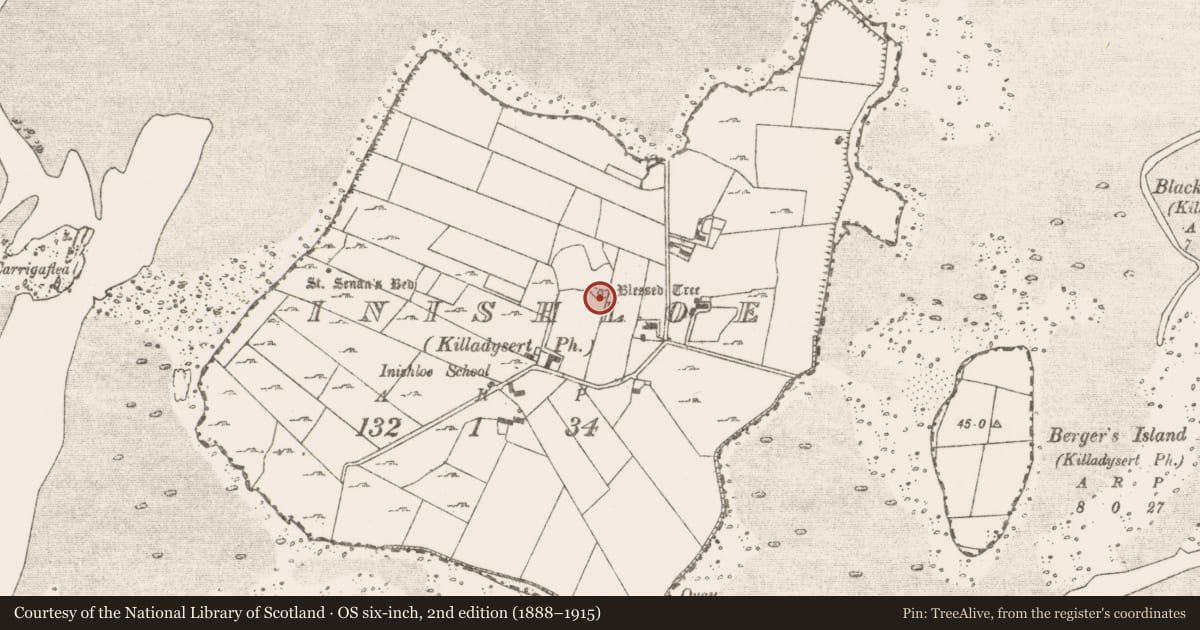Ordnance Survey six-inch map, 2nd edition (1888–1915) covering the location of Enclosure, Inishloe, County Clare, with a pin at the register's coordinates