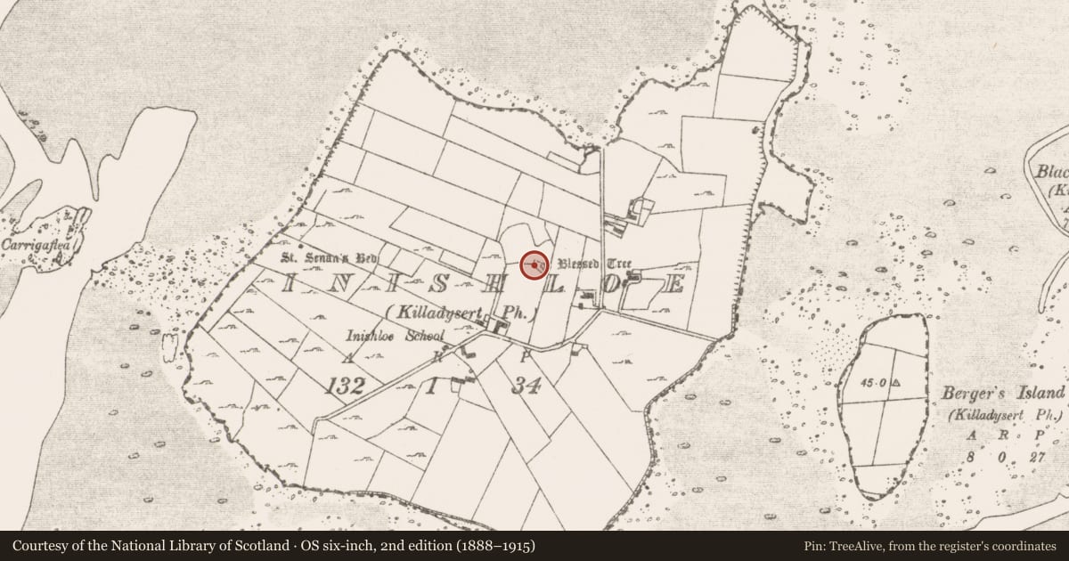 Ordnance Survey six-inch map, 2nd edition (1888–1915) covering the location of Hut site, Inishloe, County Clare, with a pin at the register's coordinates