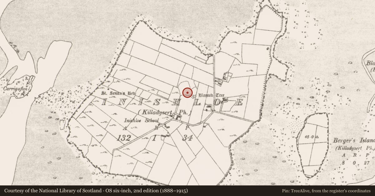 Ordnance Survey six-inch map, 2nd edition (1888–1915) covering the location of Hut site, Inishloe, County Clare, with a pin at the register's coordinates