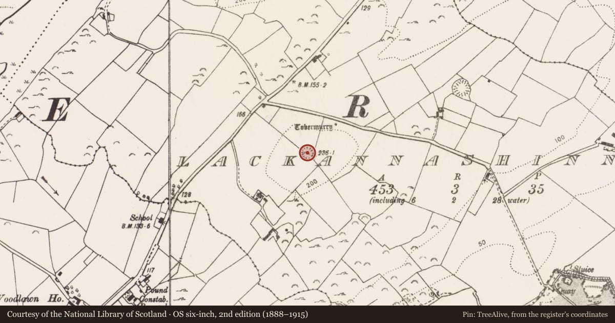 Ordnance Survey six-inch map, 2nd edition (1888–1915) covering the location of Ringfort - rath, Lackannashinnagh, County Clare, with a pin at the register's coordinates