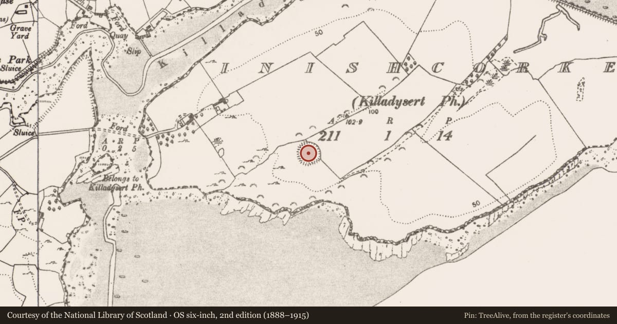 Ordnance Survey six-inch map, 2nd edition (1888–1915) covering the location of Ringfort - rath, Inishcorker, County Clare, with a pin at the register's coordinates