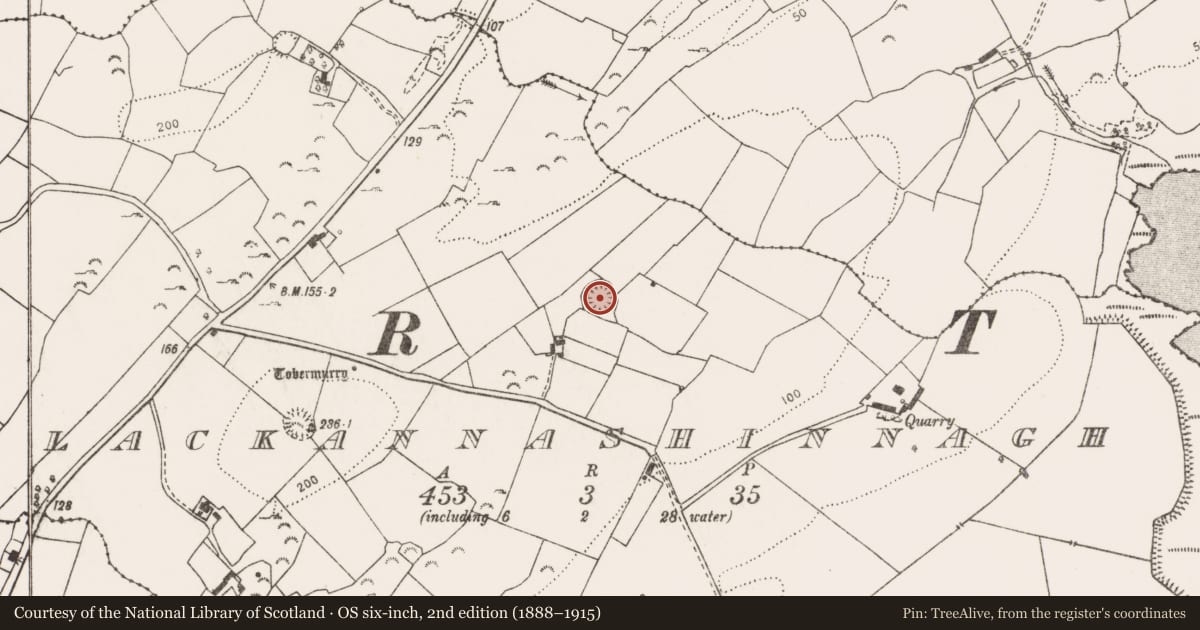 Ordnance Survey six-inch map, 2nd edition (1888–1915) covering the location of Ringfort - rath, Lackannashinnagh, County Clare, with a pin at the register's coordinates