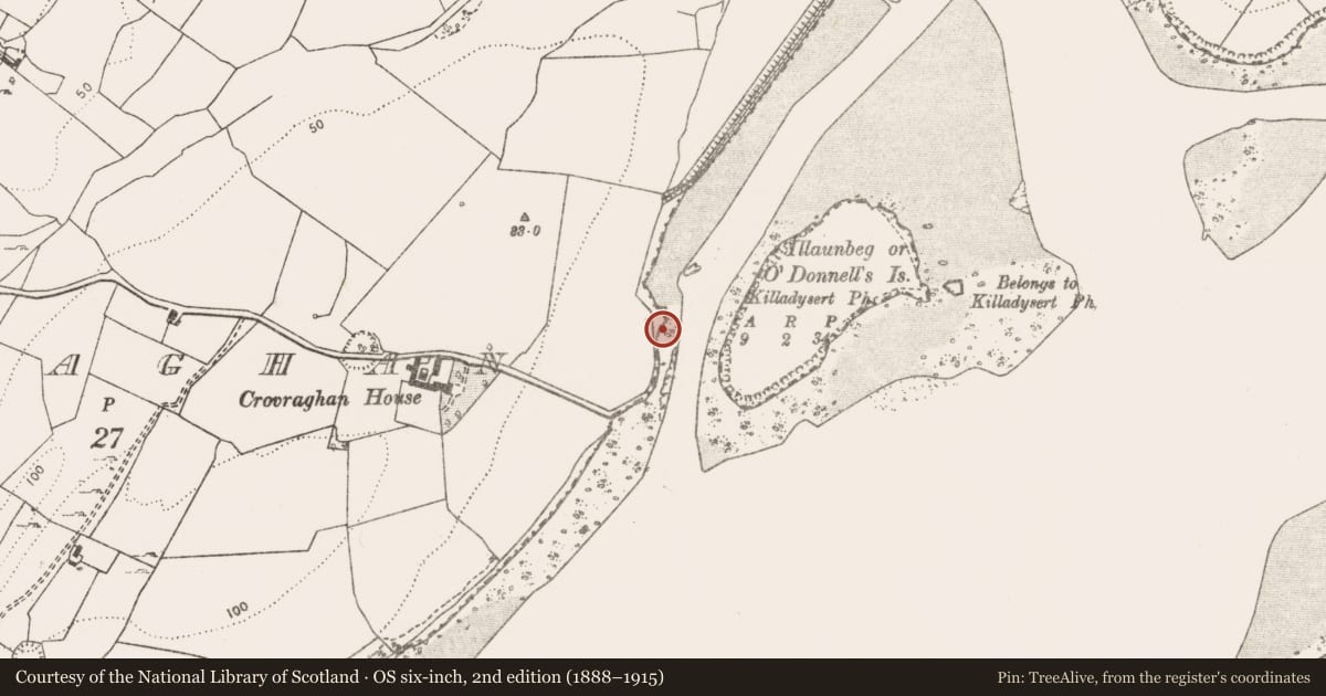 Ordnance Survey six-inch map, 2nd edition (1888–1915) covering the location of Castle - unclassified, Crovraghan, County Clare, with a pin at the register's coordinates