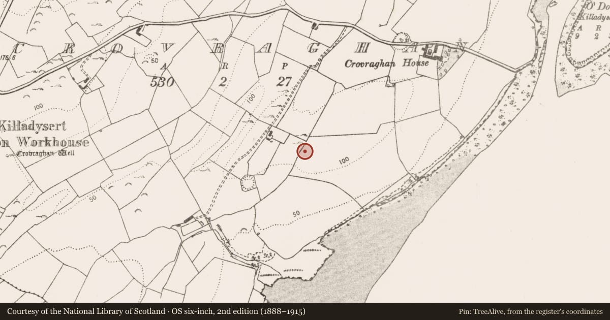Ordnance Survey six-inch map, 2nd edition (1888–1915) covering the location of Quarry, Crovraghan, County Clare, with a pin at the register's coordinates