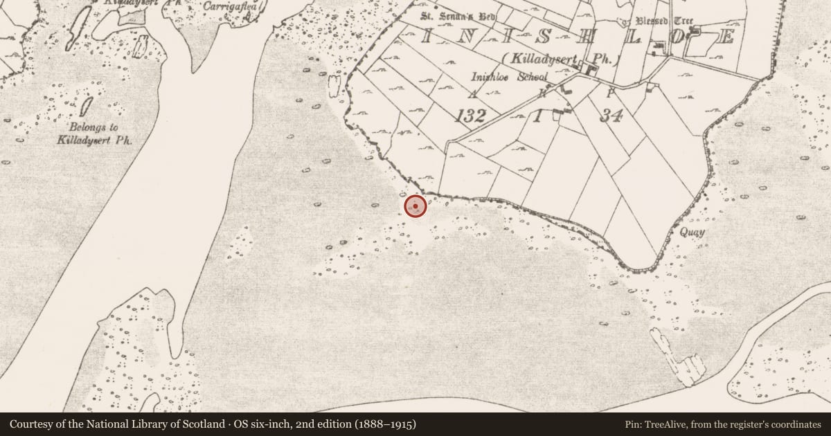 Ordnance Survey six-inch map, 2nd edition (1888–1915) covering the location of Structure, Inishloe, River Fergus, County Clare, with a pin at the register's coordinates