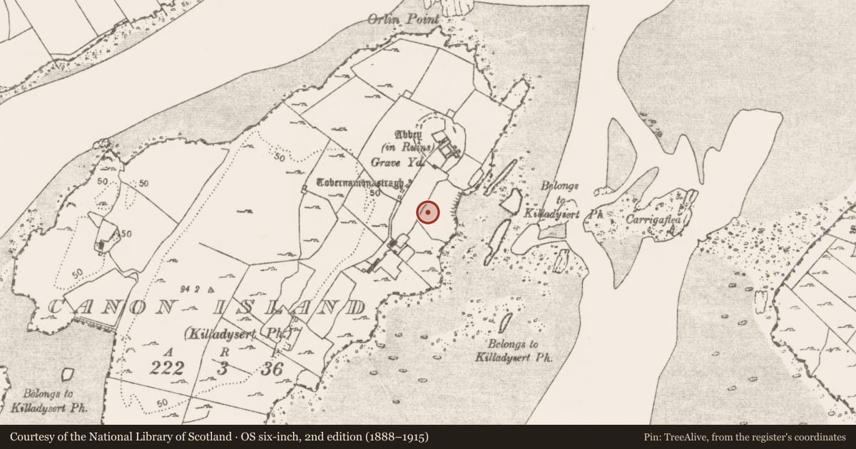 Ordnance Survey six-inch map, 2nd edition (1888–1915) covering the location of Weir - fish, Canon Island, River Fergus, County Clare, with a pin at the register's coordinates