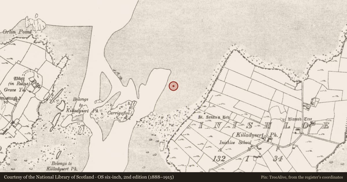 Ordnance Survey six-inch map, 2nd edition (1888–1915) covering the location of Structure, Inishloe, River Fergus, County Clare, with a pin at the register's coordinates