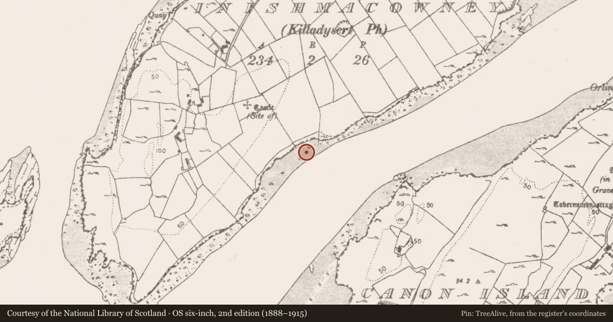 Ordnance Survey six-inch map, 2nd edition (1888–1915) covering the location of Structure, Horse Island, River Fergus, County Clare, with a pin at the register's coordinates
