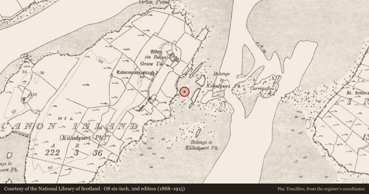 Ordnance Survey six-inch map, 2nd edition (1888–1915) covering the location of Structure, Canon Island, River Fergus, County Clare, with a pin at the register's coordinates