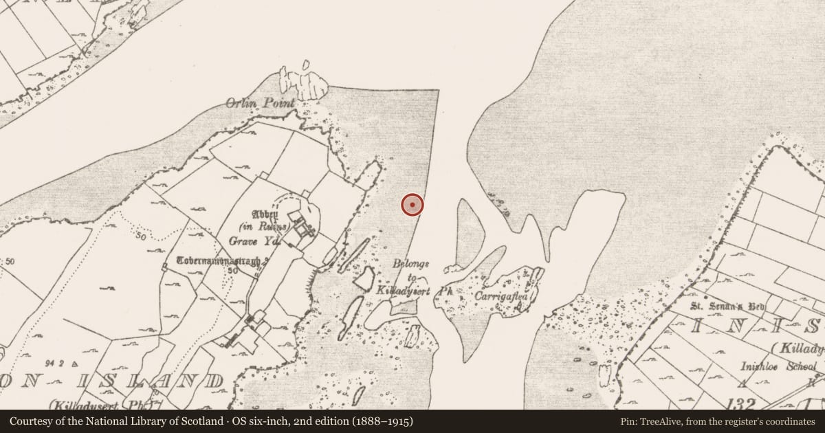 Ordnance Survey six-inch map, 2nd edition (1888–1915) covering the location of Weir - fish, Canon Island, River Fergus, County Clare, with a pin at the register's coordinates