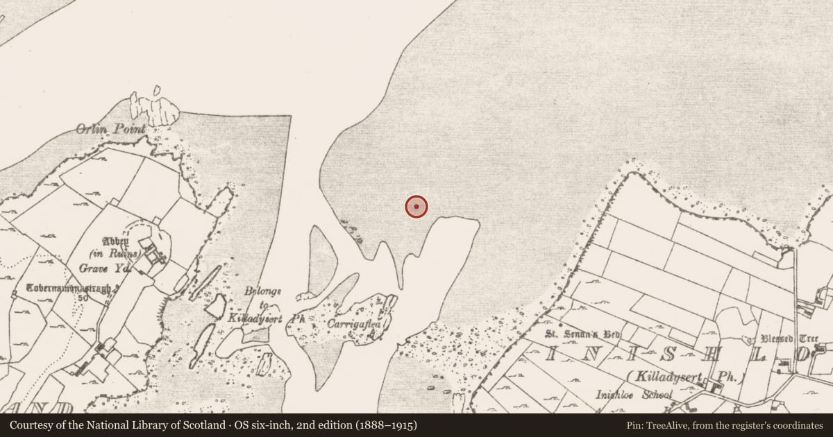 Ordnance Survey six-inch map, 2nd edition (1888–1915) covering the location of Weir - fish, County Clare, with a pin at the register's coordinates