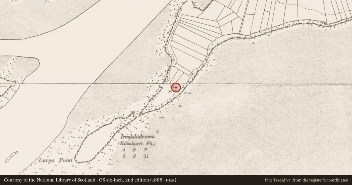 Ordnance Survey six-inch map, 2nd edition (1888–1915) covering the location of Fulacht fia, Coney Island, County Clare, with a pin at the register's coordinates