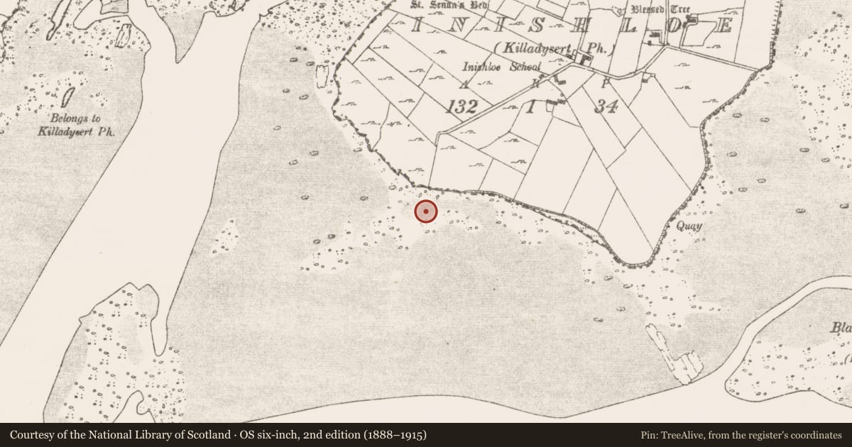 Ordnance Survey six-inch map, 2nd edition (1888–1915) covering the location of Causeway, County Clare, with a pin at the register's coordinates