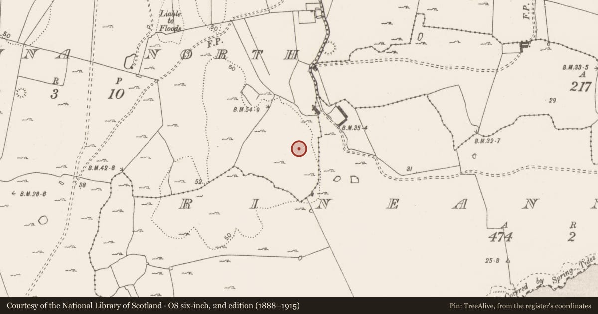 Ordnance Survey six-inch map, 2nd edition (1888–1915) covering the location of Ringfort - unclassified, Rineanna North, County Clare, with a pin at the register's coordinates