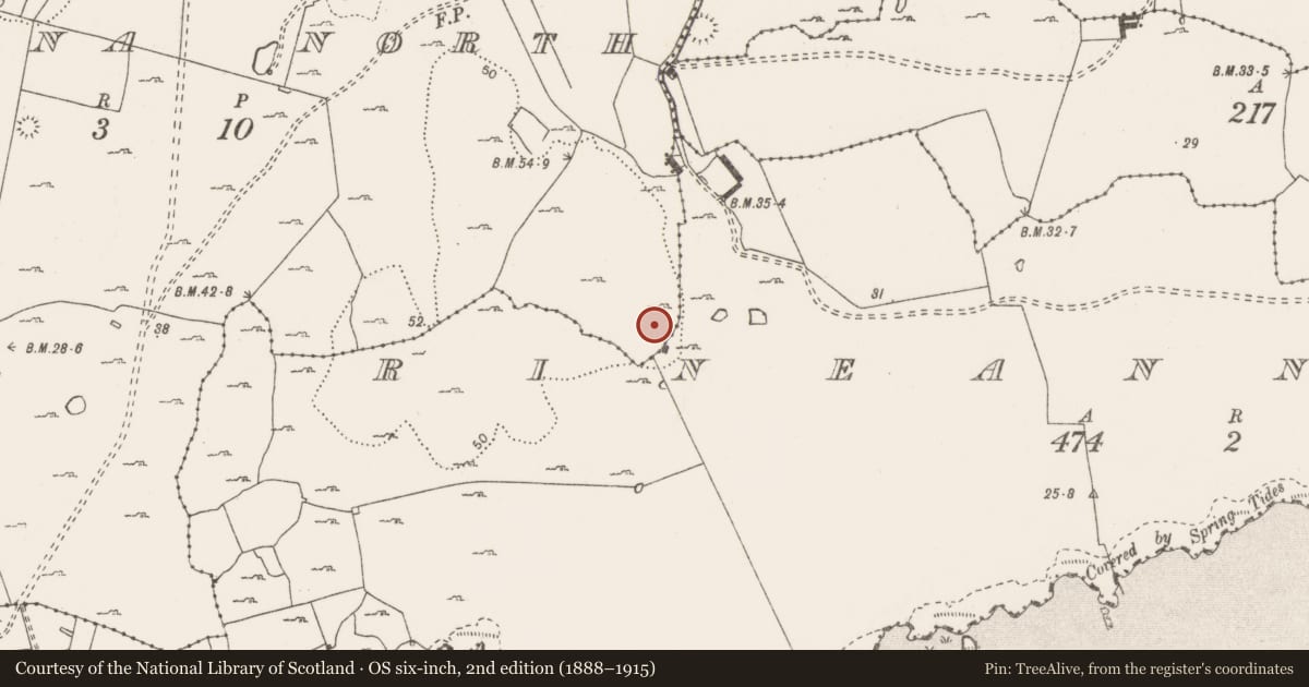 Ordnance Survey six-inch map, 2nd edition (1888–1915) covering the location of Ringfort - unclassified, Rineanna North, County Clare, with a pin at the register's coordinates