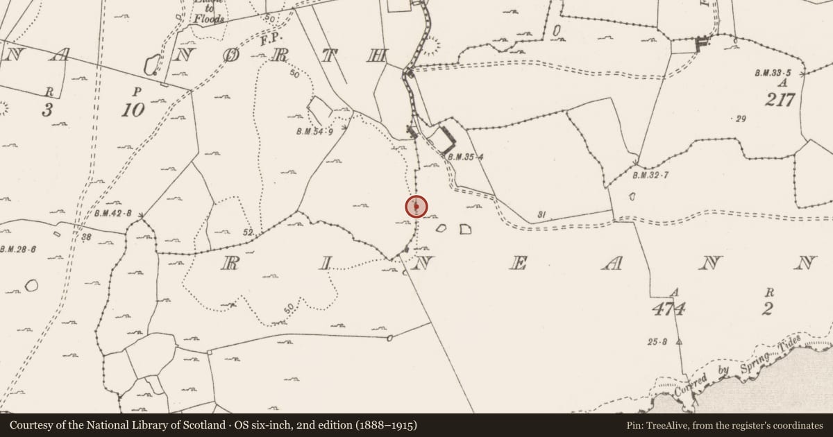 Ordnance Survey six-inch map, 2nd edition (1888–1915) covering the location of Road - road/trackway, County Clare, with a pin at the register's coordinates