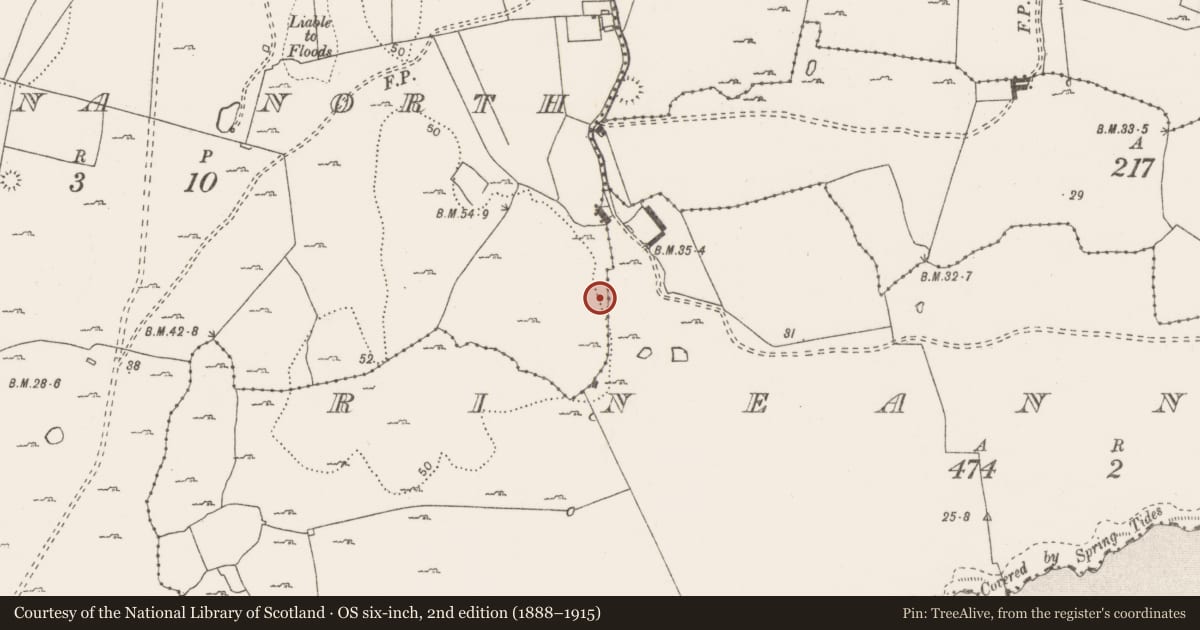 Ordnance Survey six-inch map, 2nd edition (1888–1915) covering the location of Burial, Rineanna North, County Clare, with a pin at the register's coordinates