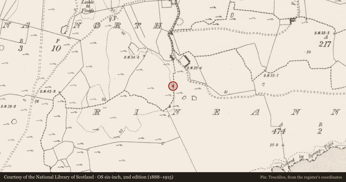 Ordnance Survey six-inch map, 2nd edition (1888–1915) covering the location of Burial, Rineanna North, County Clare, with a pin at the register's coordinates