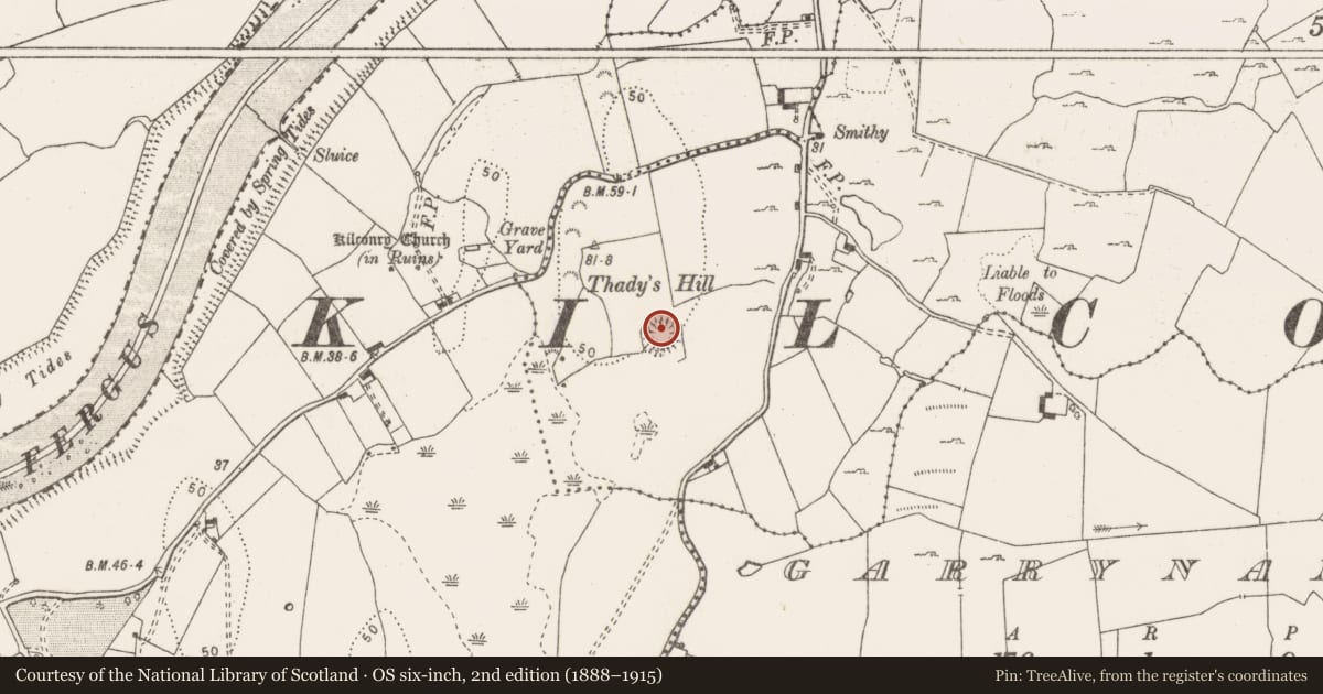 Ordnance Survey six-inch map, 2nd edition (1888–1915) covering the location of Ringfort - unclassified, Ballycally, County Clare, with a pin at the register's coordinates
