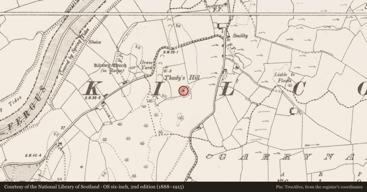 Ordnance Survey six-inch map, 2nd edition (1888–1915) covering the location of House - 16th/17th century, Ballycally, County Clare, with a pin at the register's coordinates
