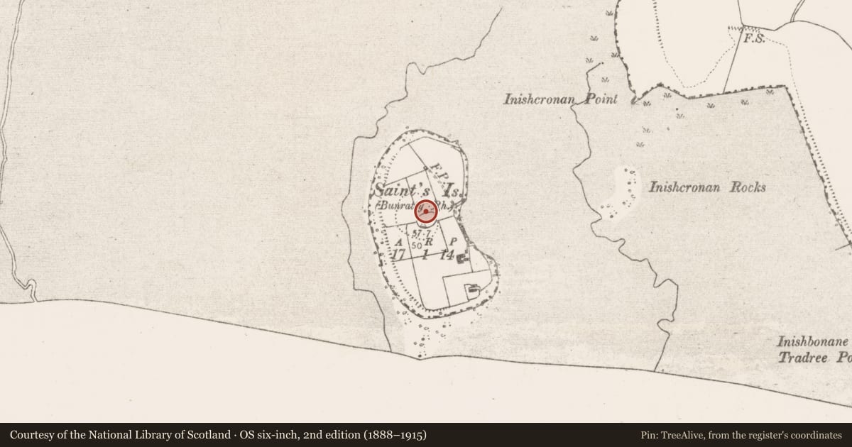 Ordnance Survey six-inch map, 2nd edition (1888–1915) covering the location of Enclosure, Saints Island, County Clare, with a pin at the register's coordinates