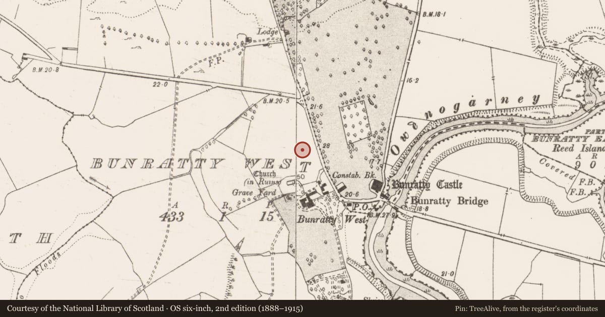 Ordnance Survey six-inch map, 2nd edition (1888–1915) covering the location of Town defences, Bunratty East, Bunratty West, County Clare, with a pin at the register's coordinates