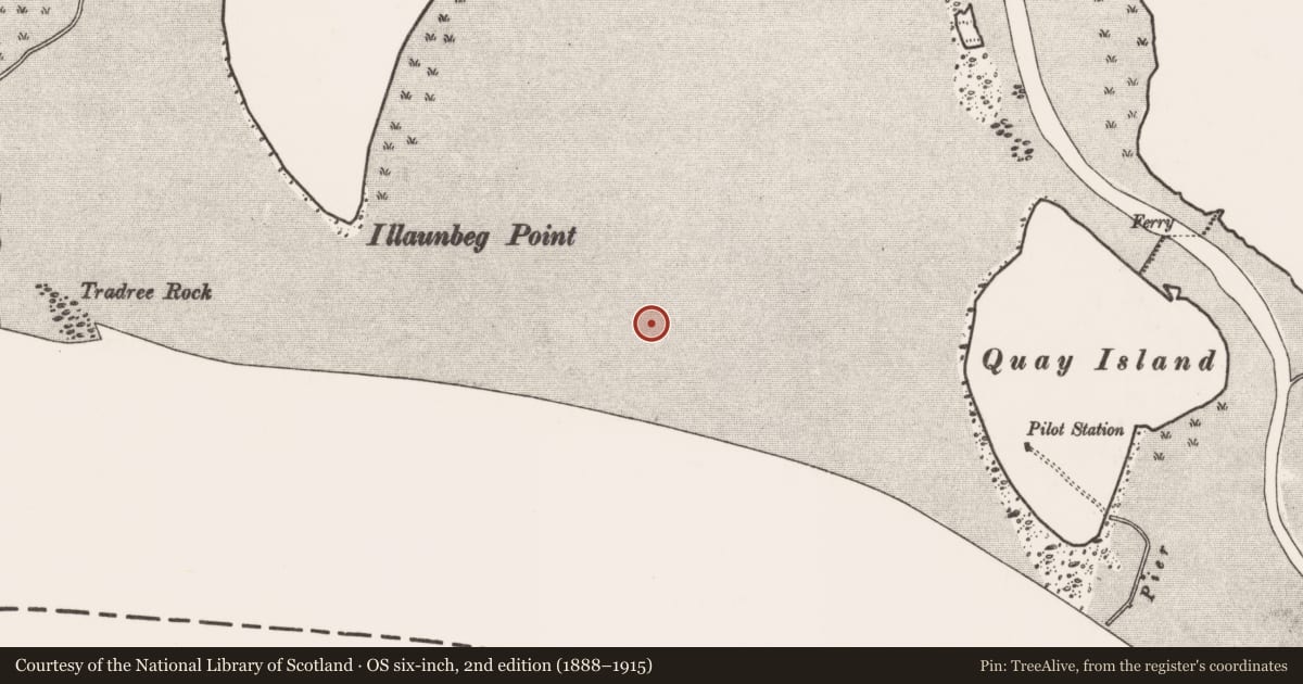 Ordnance Survey six-inch map, 2nd edition (1888–1915) covering the location of Weir - fish, Bunratty West, River Shannon, County Clare, with a pin at the register's coordinates