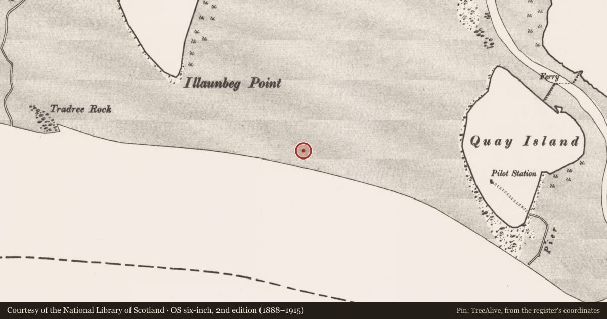 Ordnance Survey six-inch map, 2nd edition (1888–1915) covering the location of Weir - fish, Bunratty West, River Shannon, County Clare, with a pin at the register's coordinates