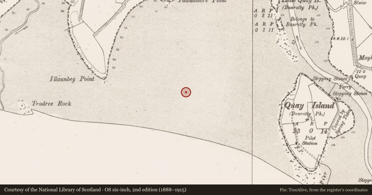 Ordnance Survey six-inch map, 2nd edition (1888–1915) covering the location of Weir - fish, Bunratty West, County Clare, with a pin at the register's coordinates
