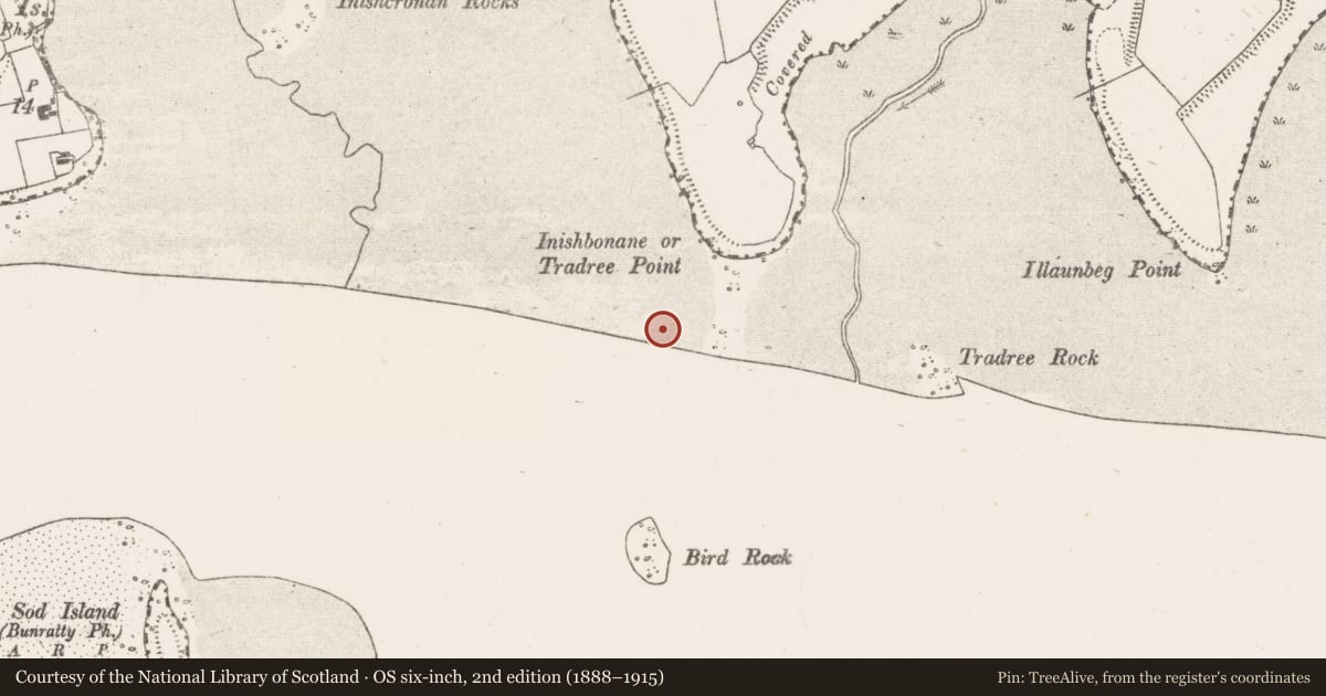 Ordnance Survey six-inch map, 2nd edition (1888–1915) covering the location of Weir - fish, Clonmoney South, River Shannon, County Clare, with a pin at the register's coordinates