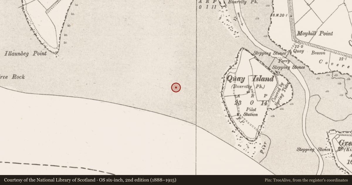 Ordnance Survey six-inch map, 2nd edition (1888–1915) covering the location of Weir - fish, Bunratty West, River Shannon, County Clare, with a pin at the register's coordinates