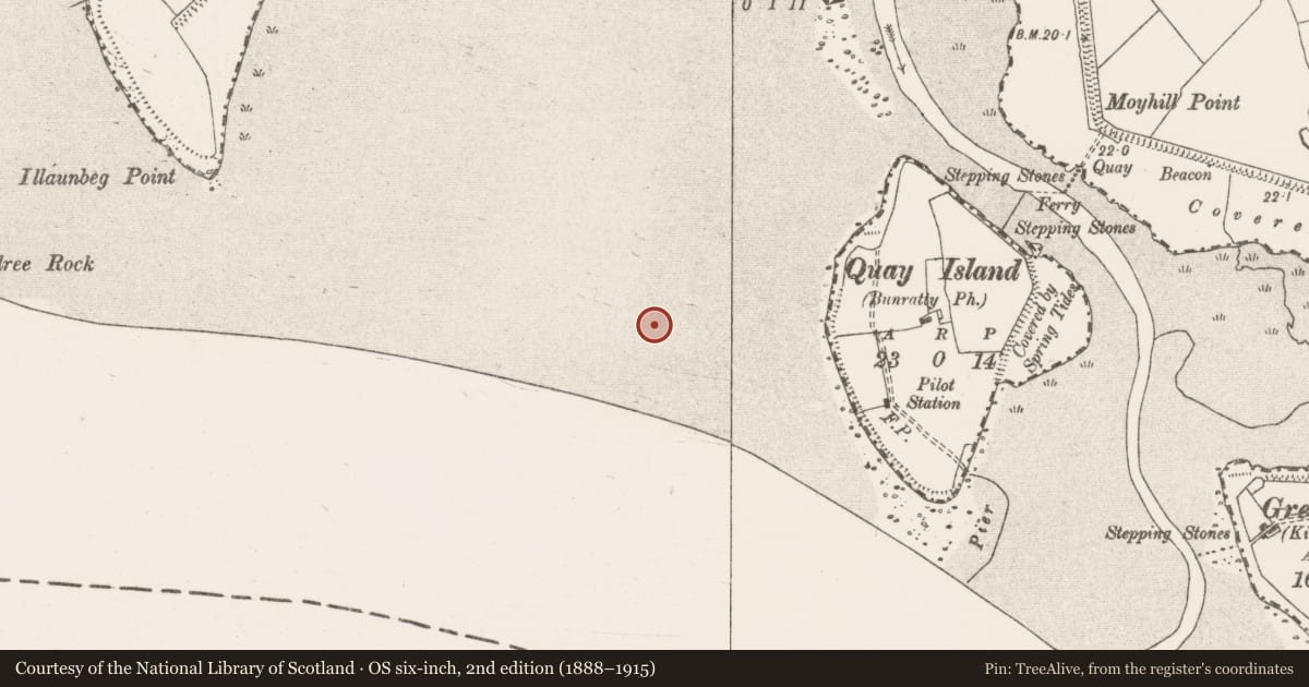 Ordnance Survey six-inch map, 2nd edition (1888–1915) covering the location of Weir - fish, Bunratty West, River Shannon, County Clare, with a pin at the register's coordinates