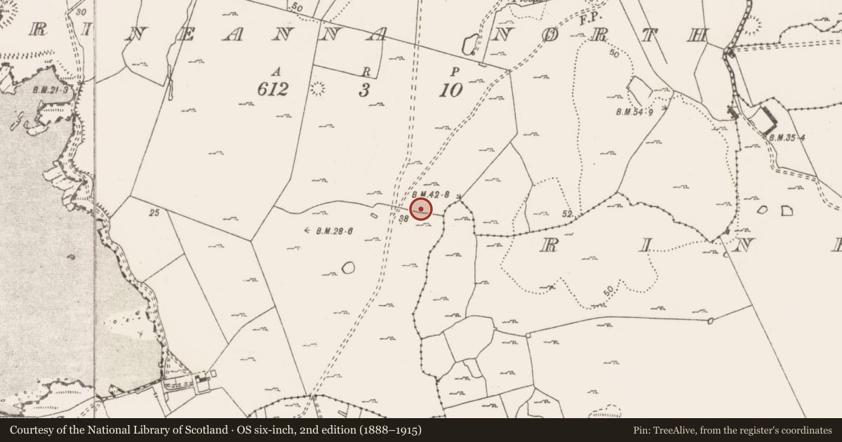 Ordnance Survey six-inch map, 2nd edition (1888–1915) covering the location of Enclosure, Rineanna North, County Clare, with a pin at the register's coordinates