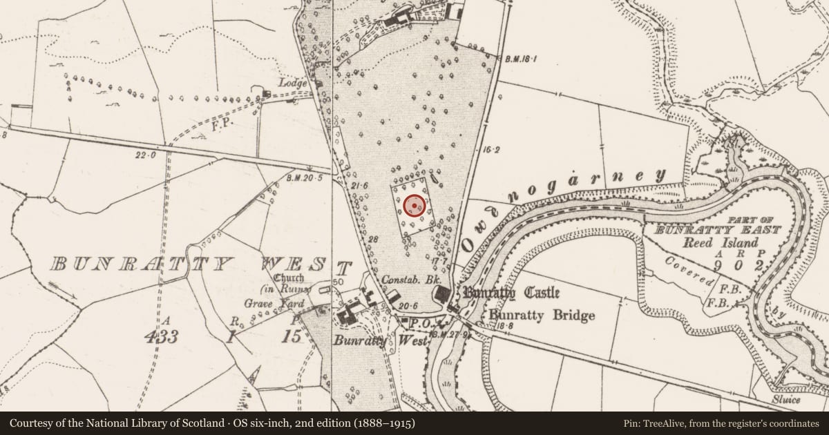 Ordnance Survey six-inch map, 2nd edition (1888–1915) covering the location of Designed landscape - formal garden, Bunratty East, County Clare, with a pin at the register's coordinates