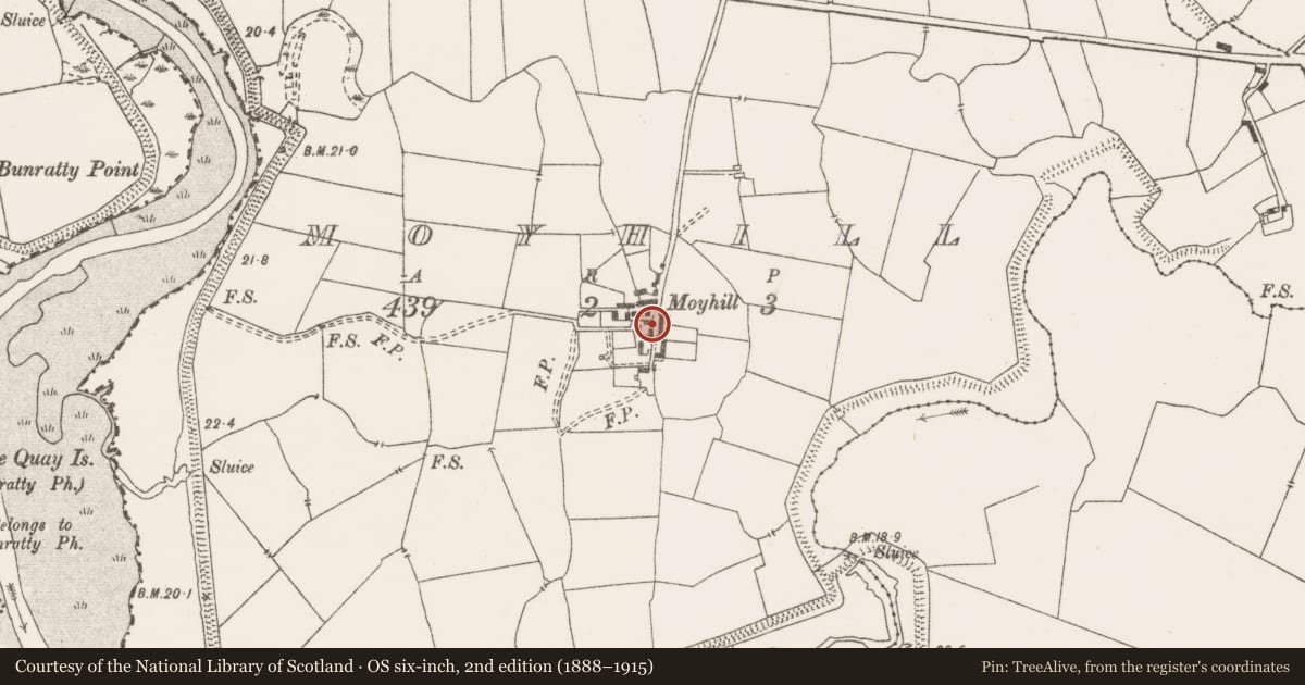 Ordnance Survey six-inch map, 2nd edition (1888–1915) covering the location of House - 16th/17th century, Moyhill, County Clare, with a pin at the register's coordinates