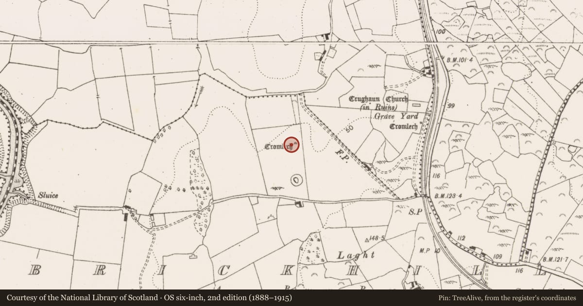 Ordnance Survey six-inch map, 2nd edition (1888–1915) covering the location of Megalithic structure, Brickhill West, County Clare, with a pin at the register's coordinates