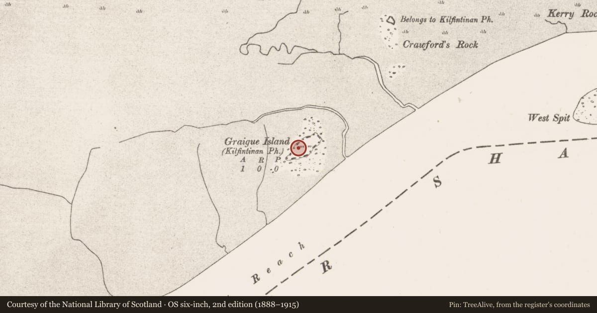Ordnance Survey six-inch map, 2nd edition (1888–1915) covering the location of Earthwork, Graigue Island, County Clare, with a pin at the register's coordinates