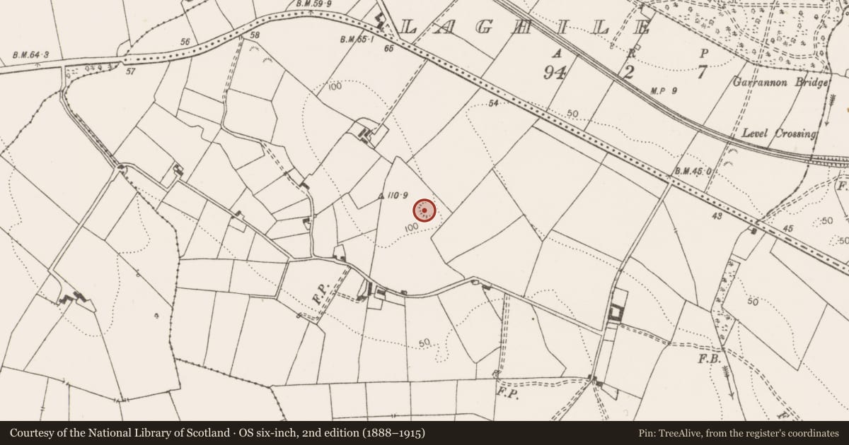 Ordnance Survey six-inch map, 2nd edition (1888–1915) covering the location of Ringfort - unclassified, Portdrine, County Clare, with a pin at the register's coordinates