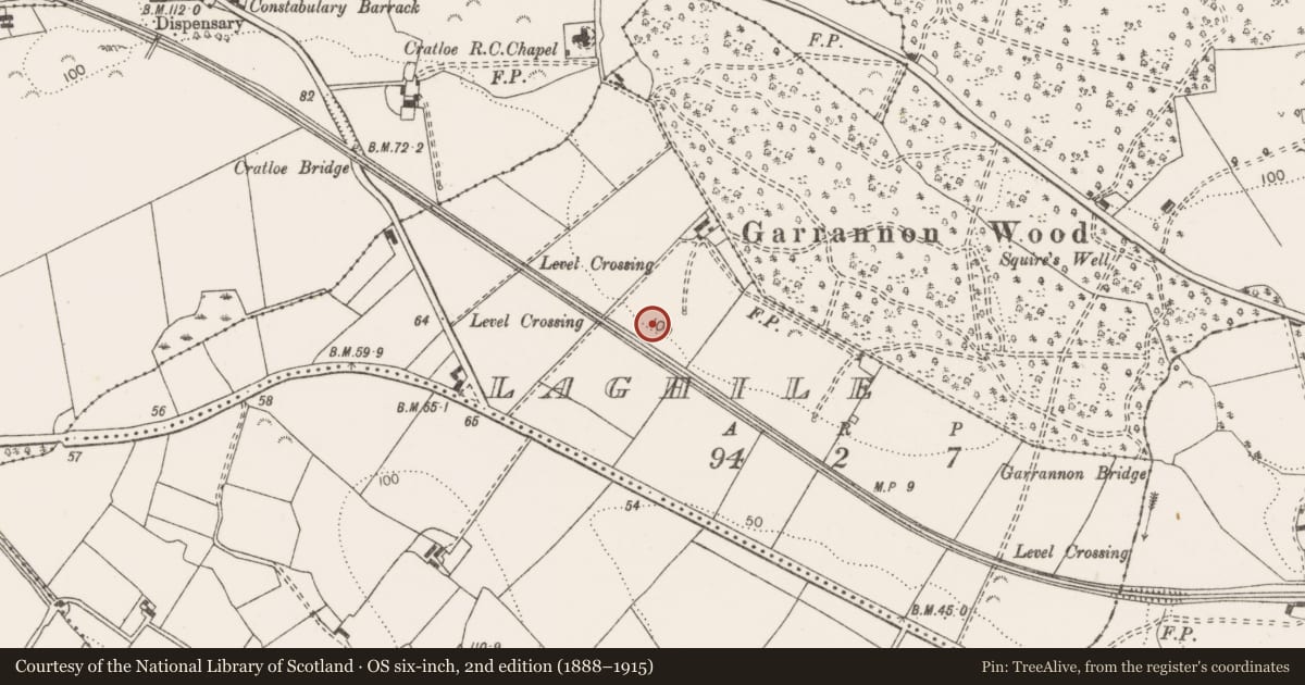 Ordnance Survey six-inch map, 2nd edition (1888–1915) covering the location of Enclosure, Laghile, County Clare, with a pin at the register's coordinates