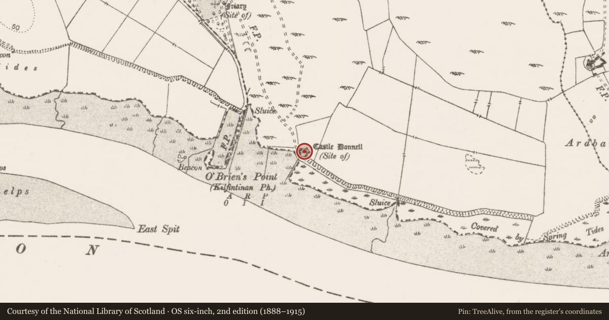 Ordnance Survey six-inch map, 2nd edition (1888–1915) covering the location of Castle - unclassified, Cratloe, County Clare, with a pin at the register's coordinates