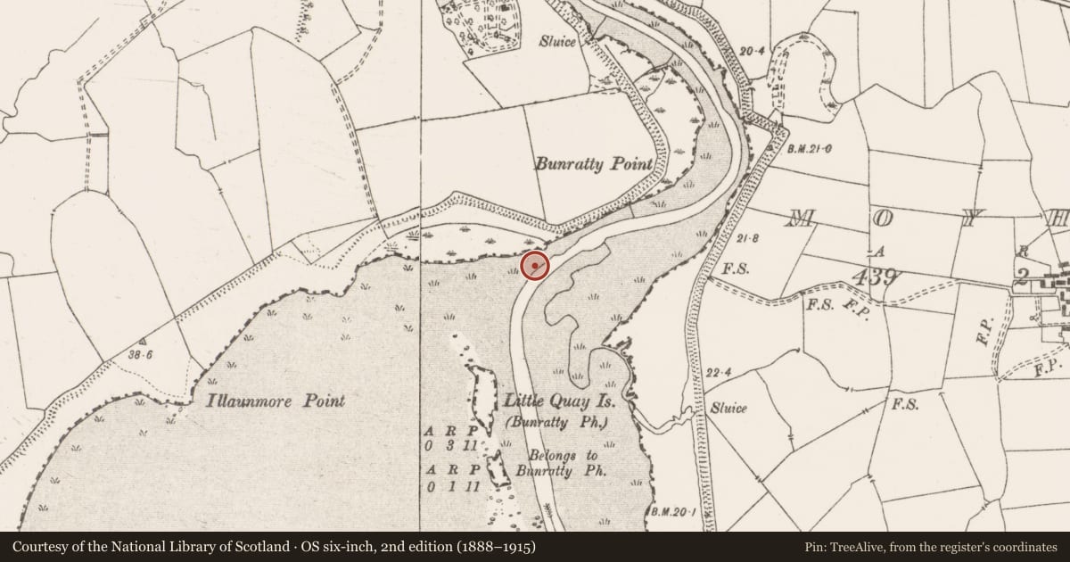Ordnance Survey six-inch map, 2nd edition (1888–1915) covering the location of Weir - fish, Bunratty West, River Shannon, County Clare, with a pin at the register's coordinates